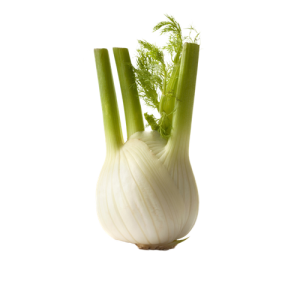 شاه تره