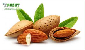 راه های استفاده از روغن بادام شیرین برای مو