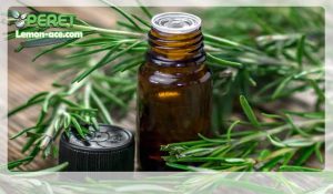 روغن رزماری برای مو