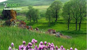 شهرستان سراب؛ معرفی کامل با دیدنی‌ها، آبگرم‌ها و نکات جالب